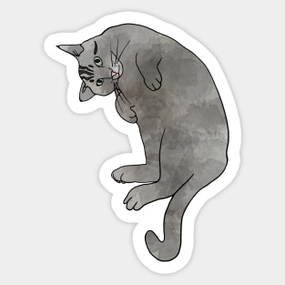 Grey Tabby Cat Sticker